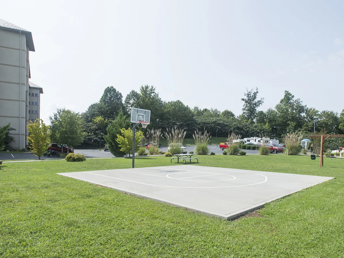 A vibrant basketball court occupies the foreground, complete with a hoop, lush green lawn, and a picnic table nearby. The area is sunlit and appears inviting for both active play and relaxation.