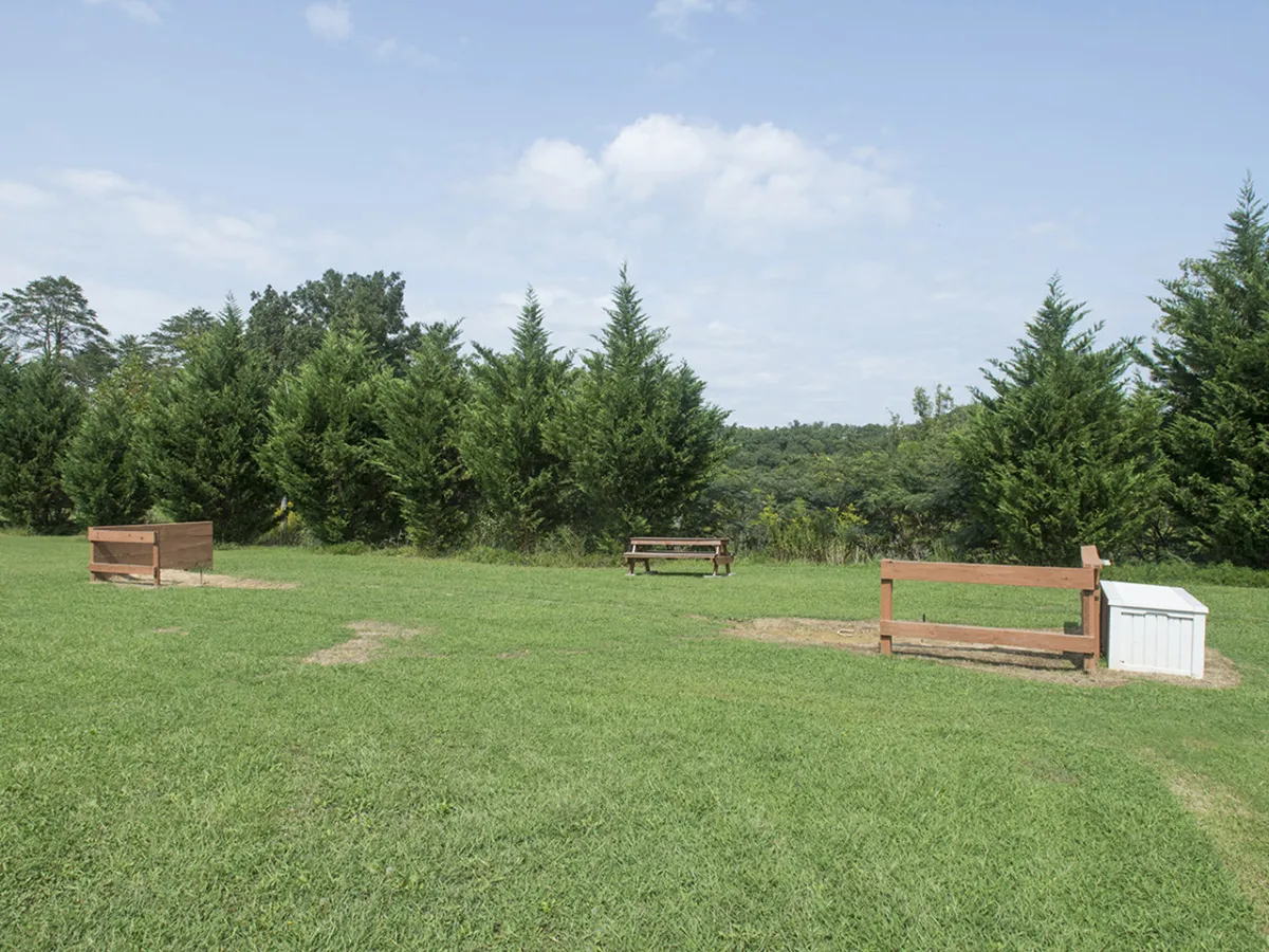 A peaceful green area with benches, grassy lawns, and trees, set against a distant landscape. The area is perfect for picnicking, leisurely strolls, and relaxed family gatherings in nature.